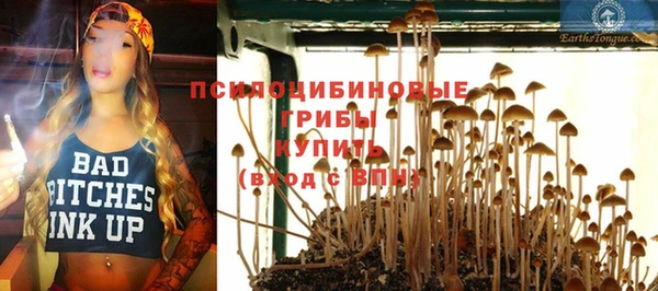 MDMA Белокуриха